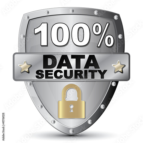100% DATA SECURITY ICON
