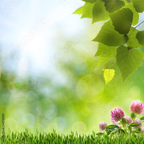 Abstract natural backgrounds with clover flovers and beauty boke