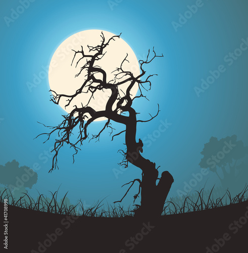 Dead Tree Silhouette In The Moonlight