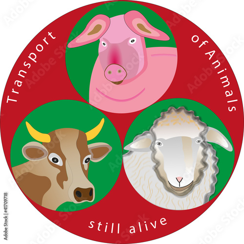 Transport of animals