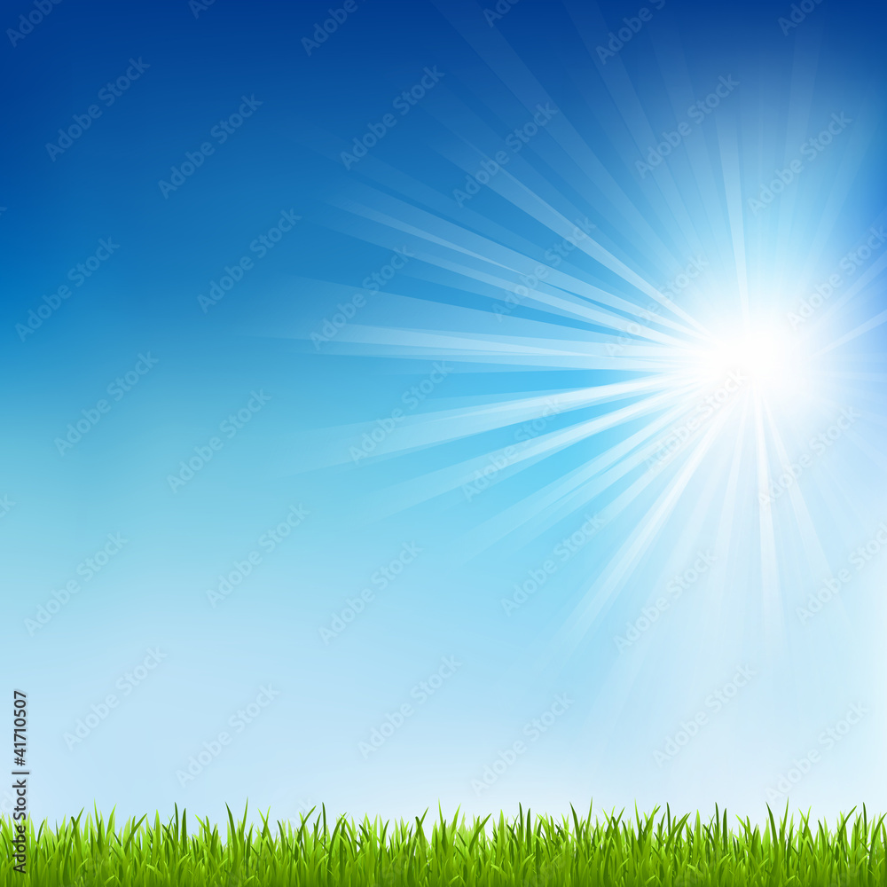 Green Grass And Sun Beam