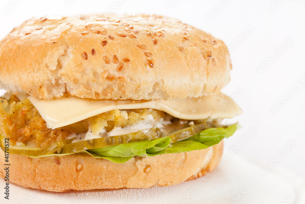 cheeseburger on the plate cheeseburger on the plate