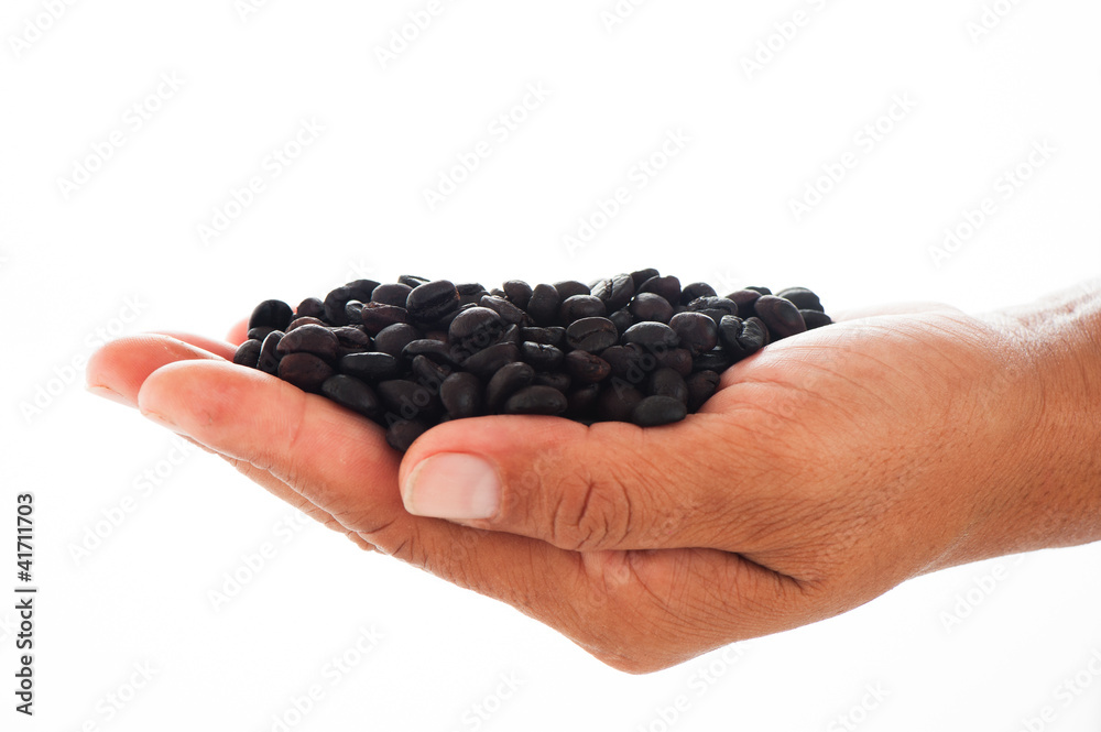 Frisch geröstete Kaffeebohnen in einer Hand Frisch geröstete Kaffeebohnen in einer Hand