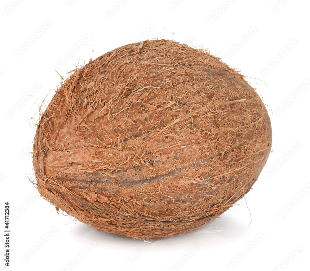 Coconut Coconut