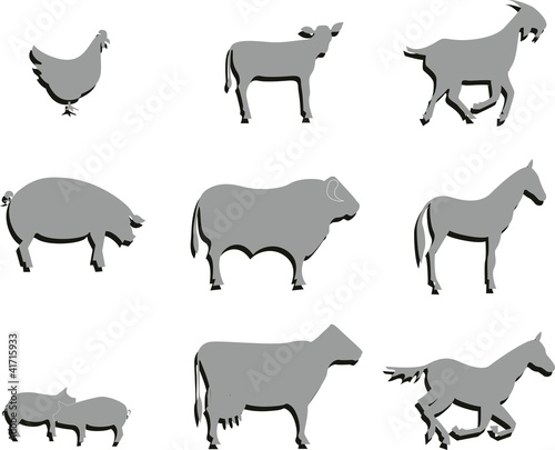 Collage Nutztiere Bauernhof Viehzucht Huhn Pferd Schwein Kuh Sti