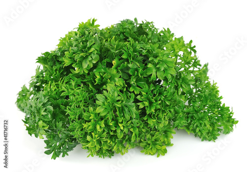 curly parsley
