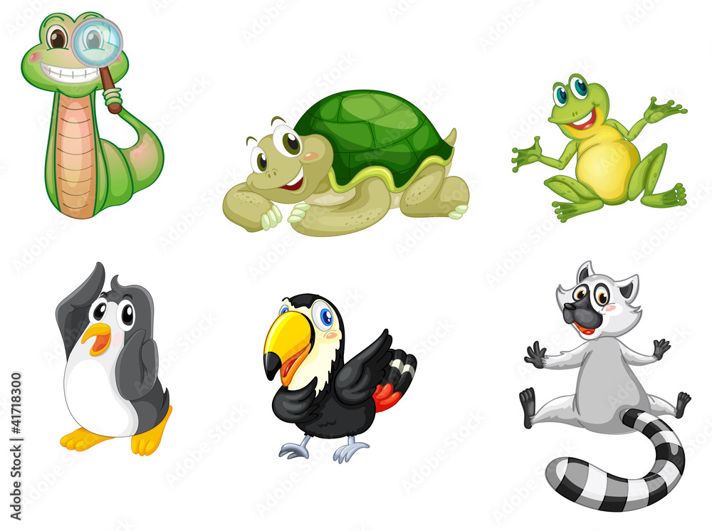 Obraz premium Group of animals