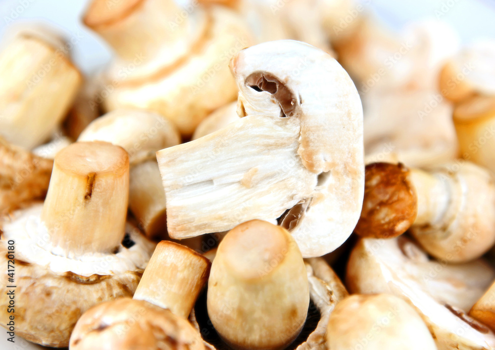 An edible mushroom, especially the much cultivated species Agari An edible mushroom, especially the much cultivated species Agari