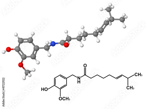 Fototapeta Naklejka Na Ścianę i Meble -  Capsaicin molecule with chemical formula