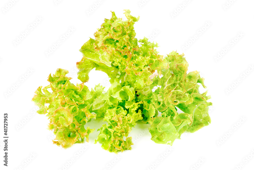 Obraz premium fresh salad isolated on white