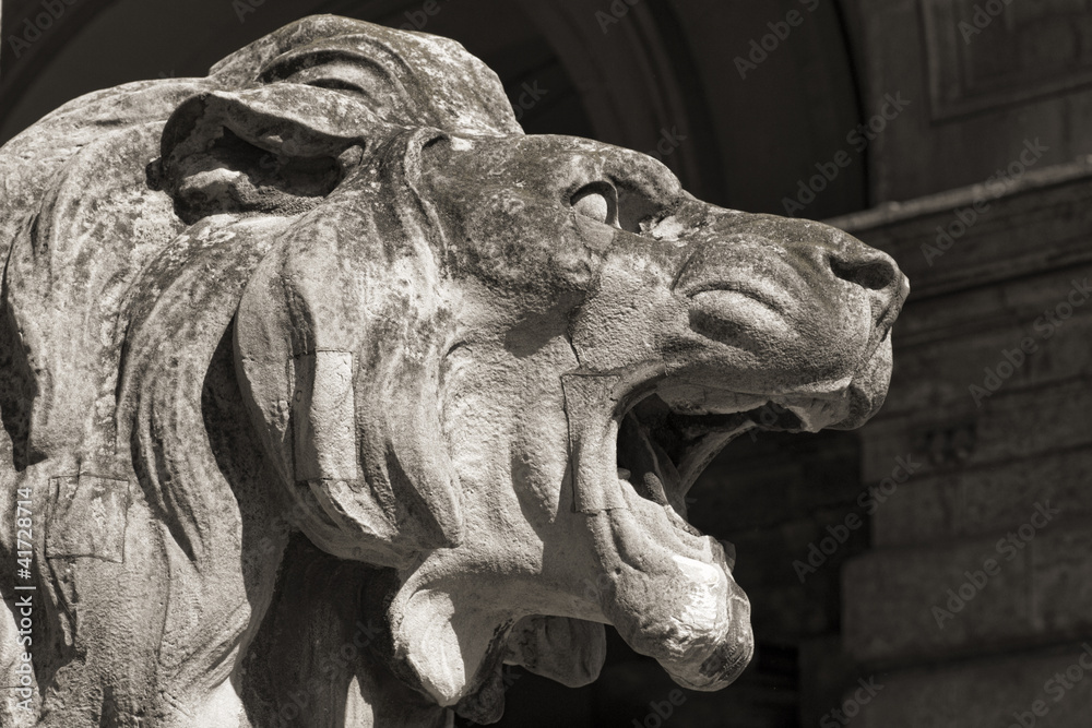head of lion statue, budapest head of lion statue, budapest
