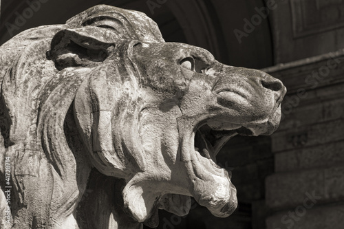 head of lion statue, budapest