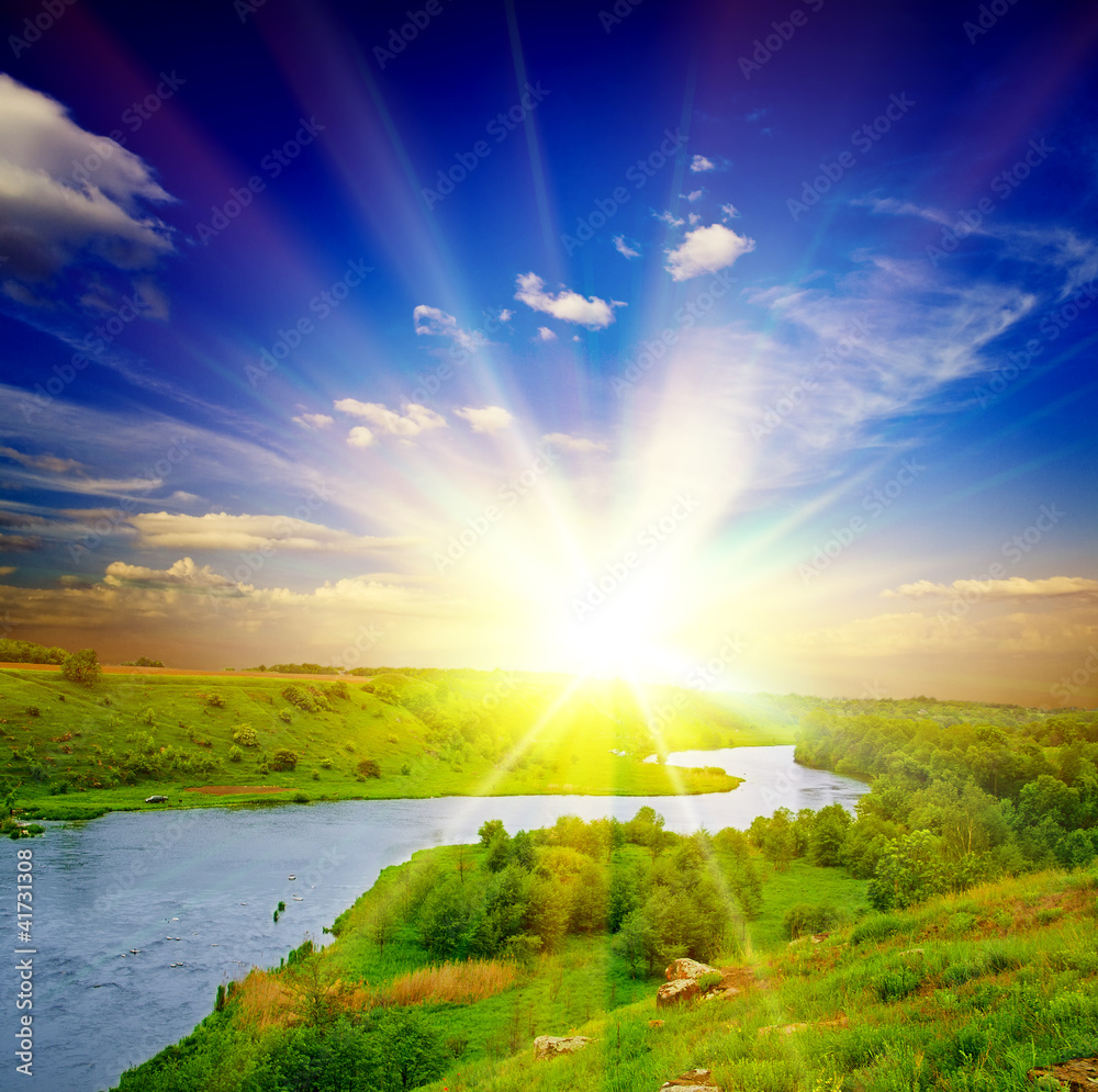 Obraz premium field and forest