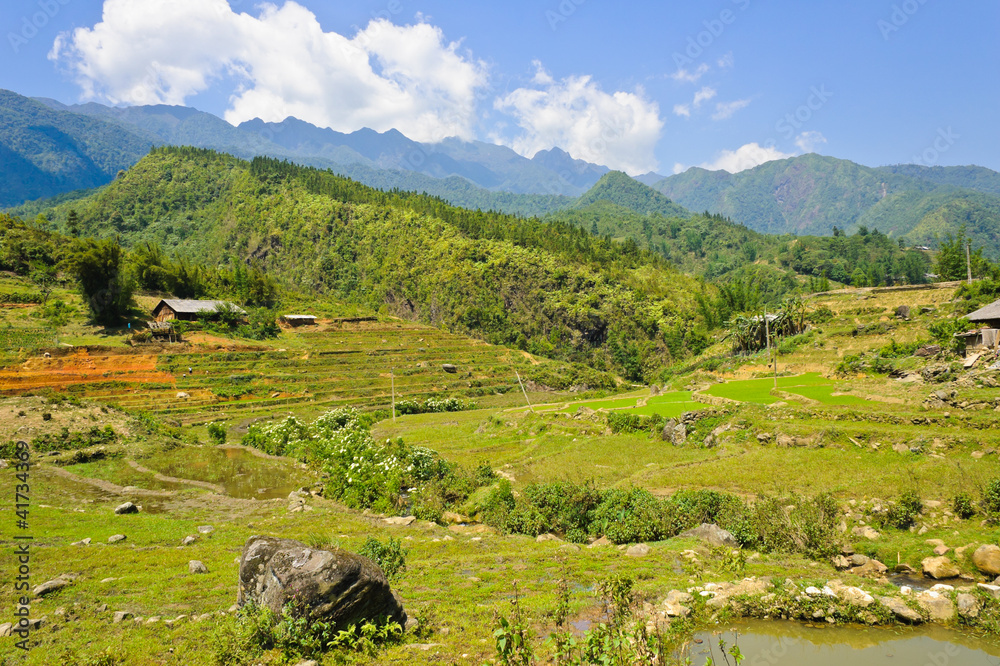 Mountain view of rice terraced field in Sapa, Vietnam