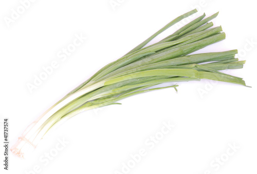Bunch spring onions on white