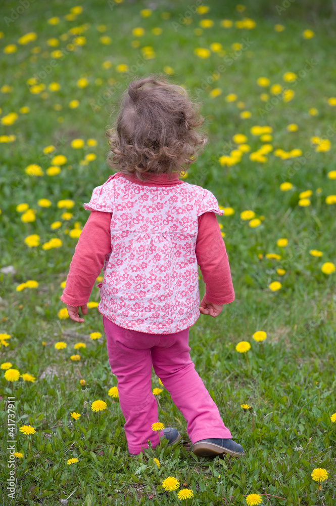 little girl is looking in the flower fields little girl is looking in the flower fields