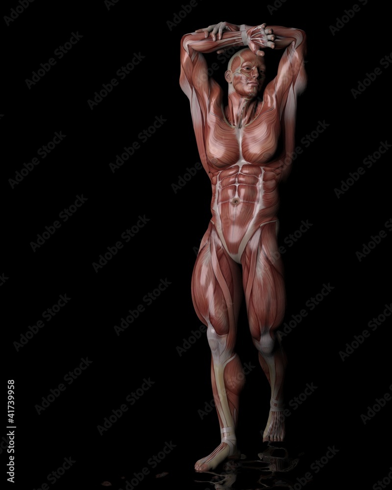 Flexing Flexing