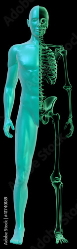 Human body and x-ray Skeleton on black