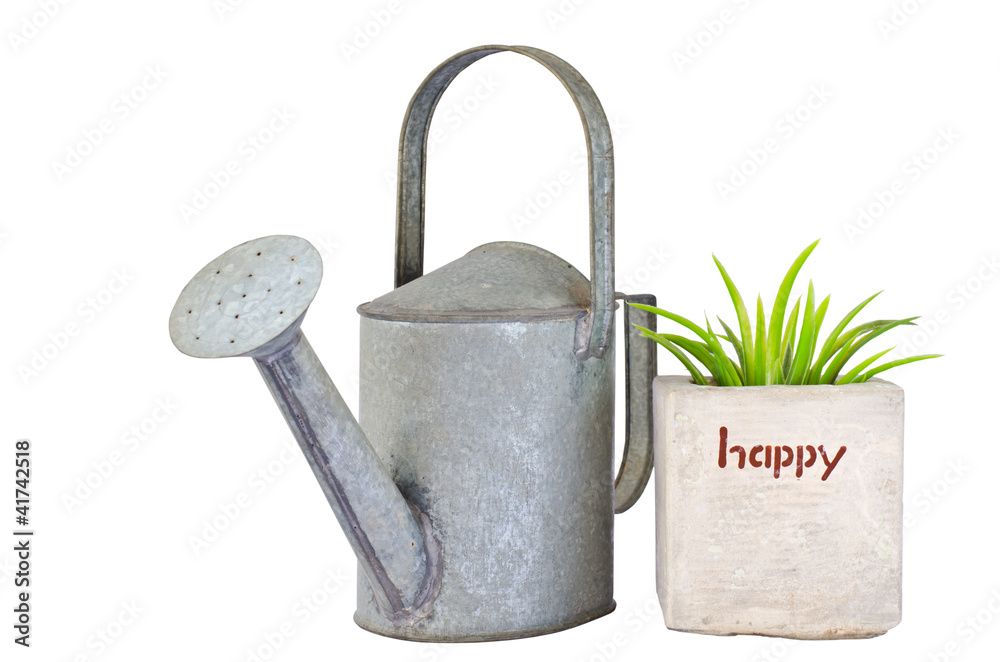 green grass in pot and watering can green grass in pot and watering can