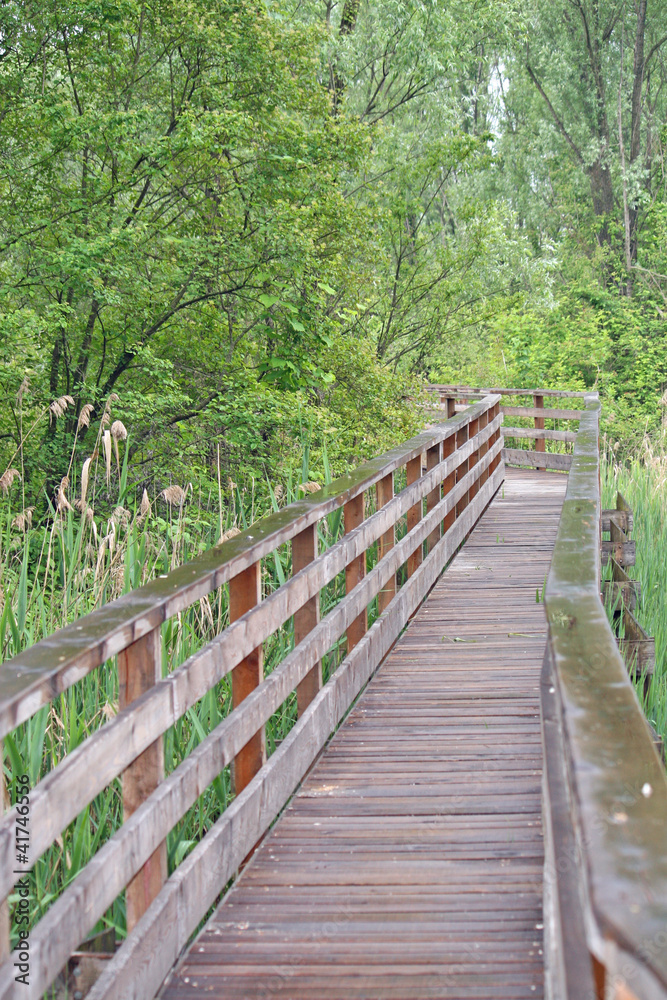 wooden boardwalk nature trail in a nature park wooden boardwalk nature trail in a nature park