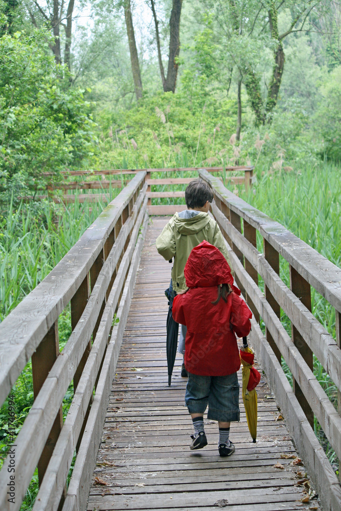 children who walk the nature trail in a nature park