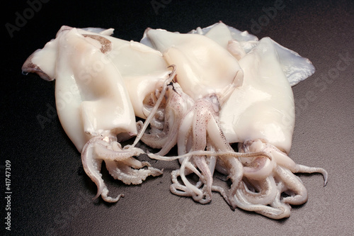Calamari - Totani