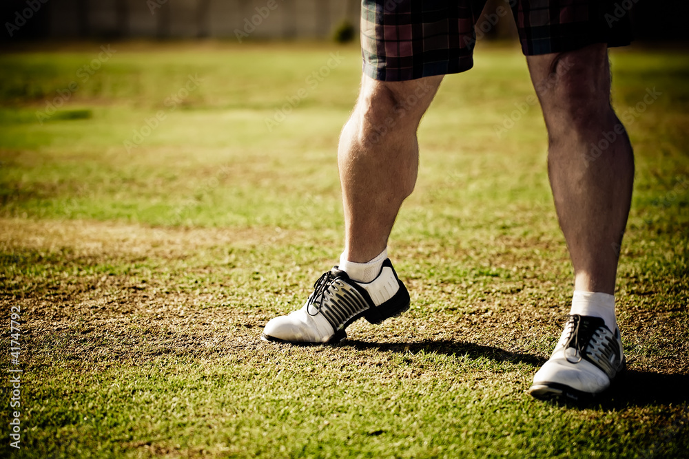 Fototapeta premium Legs