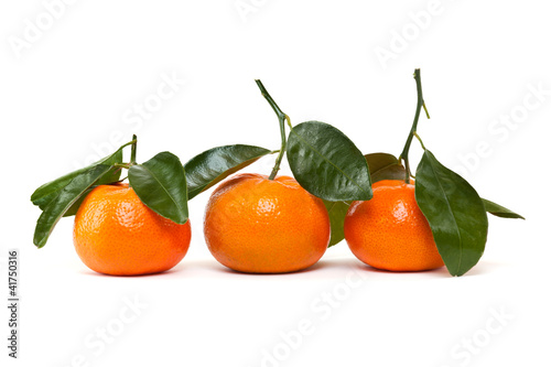 frische Mandarinen vor weissem Hintergrund