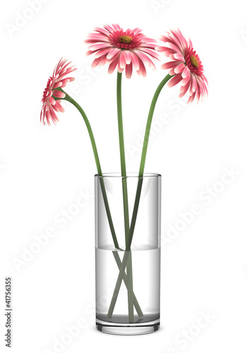 pink gerbera daisies in vase isolated on white background