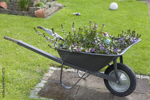 mit Blumen bepflanzte Schubkarre als Gartendekoration photo