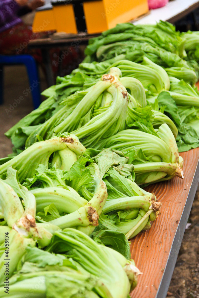 Green Mustard Green Mustard