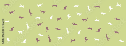 cat_004