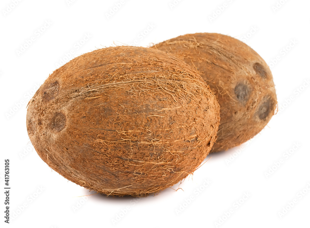 Two fresh coconuts Two fresh coconuts
