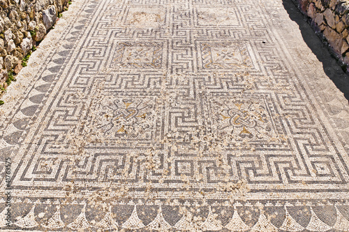 Dyonysus and the Four Seasons house at Volubilis, Morocco