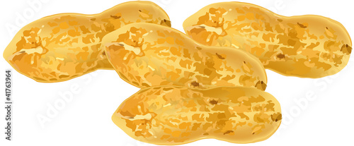arachide.