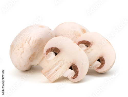 Champignon mushroom