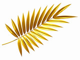 golden palm frond