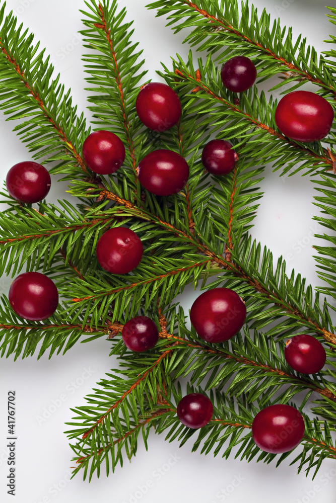 Christmas decoration with cranberries. Christmas decoration with cranberries.