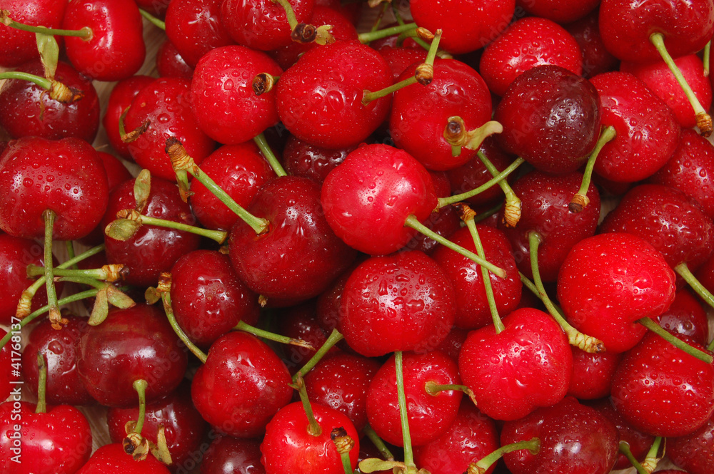 wet cherries close up wet cherries close up