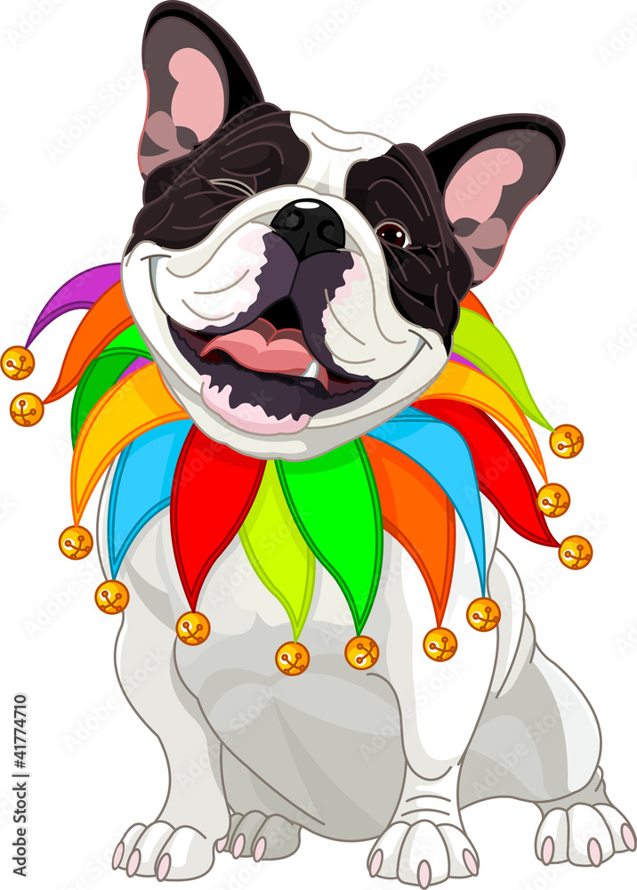 French bulldog wearing a colorful collar