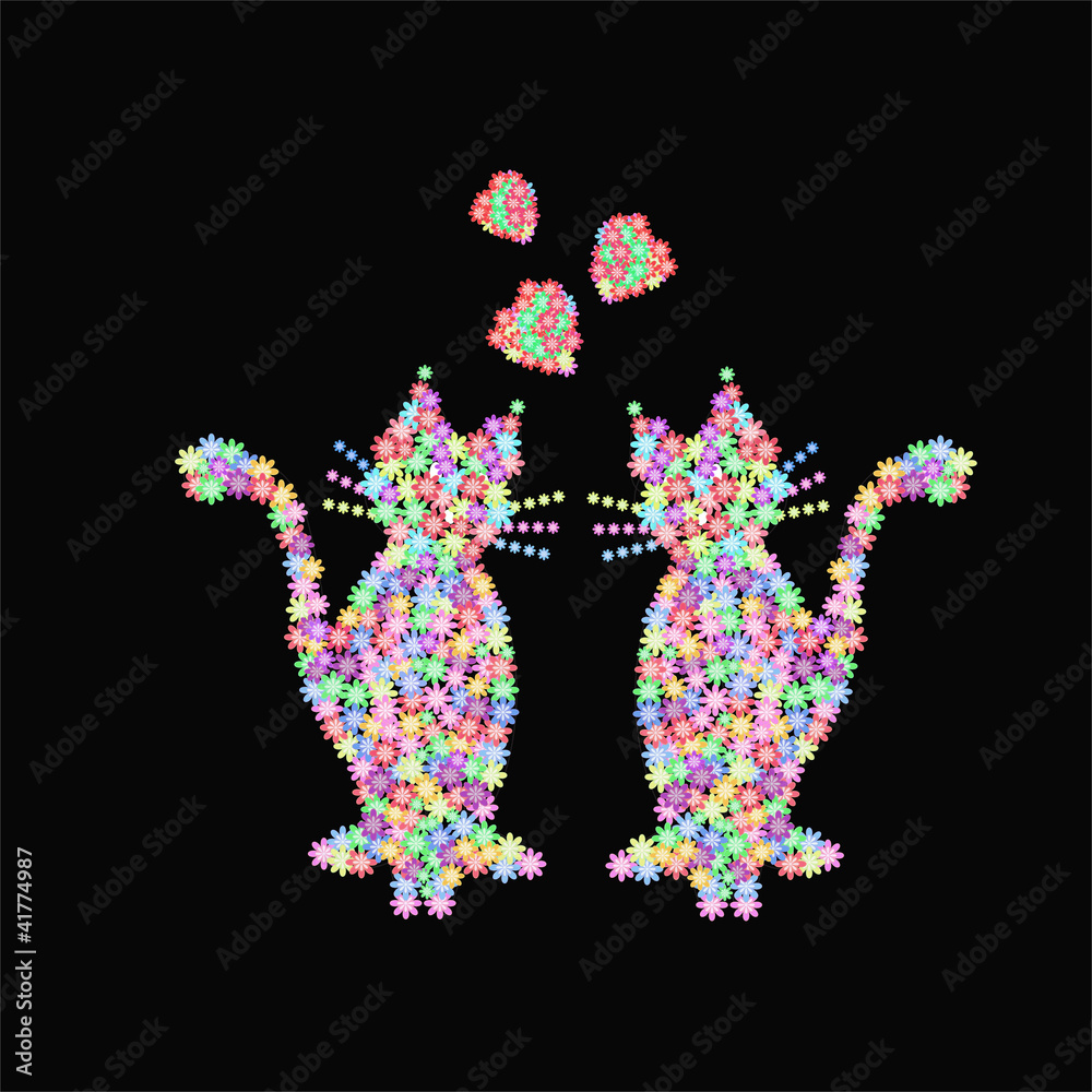 Multicolored cats Multicolored cats