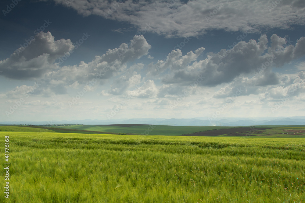 Green field with blue sky with clouds Green field with blue sky with clouds