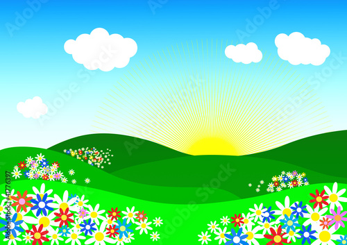 naive countryside with daisy flowers at sunrise