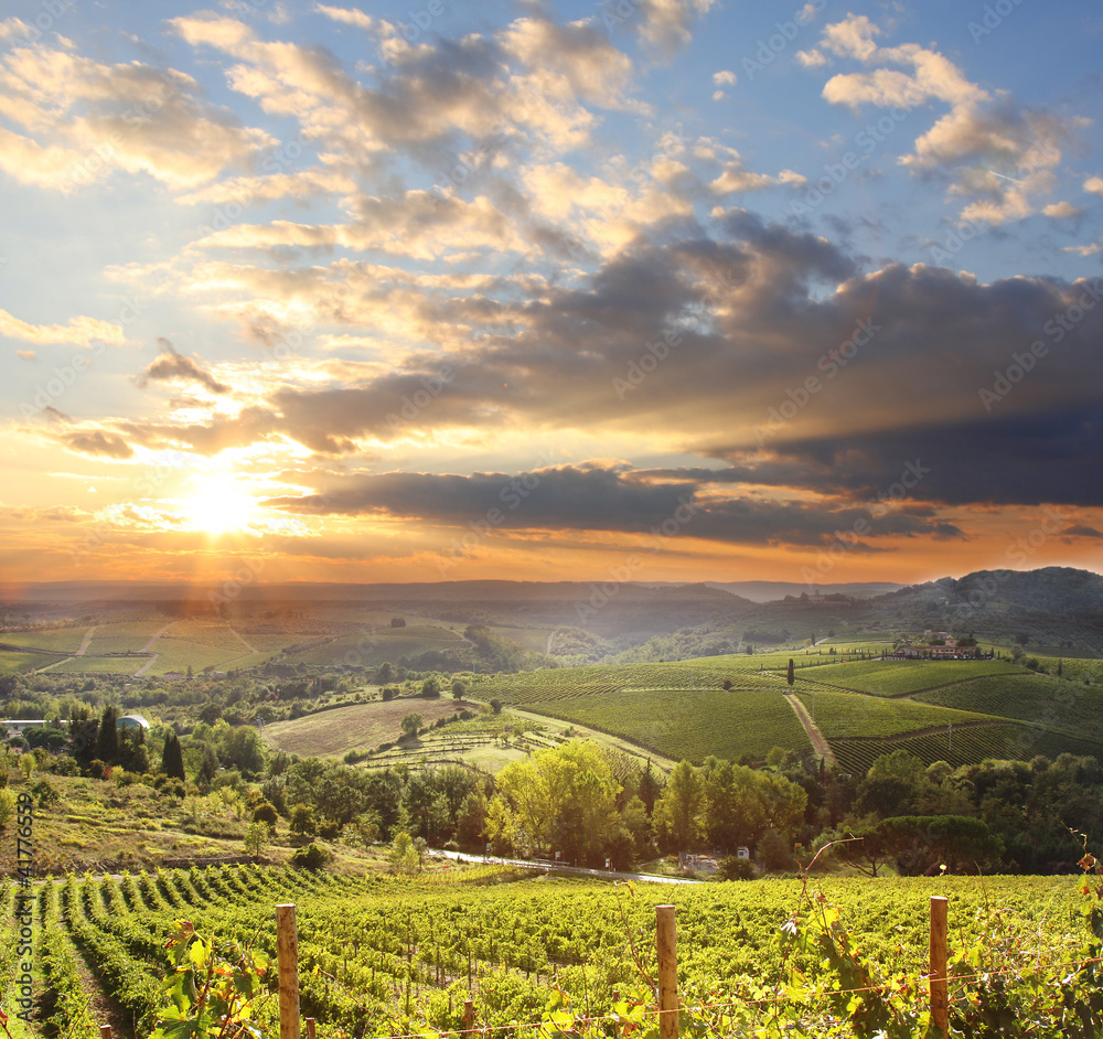 Chianti vineyard landscape in Tuscany, Italy - obrazy, fototapety, plakaty 