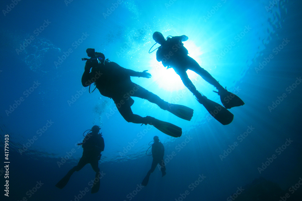 Group of Scuba Divers