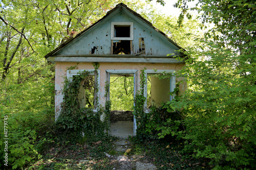 an old abandoned house overgrown with