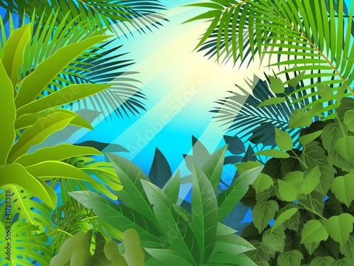 tropical forest background
