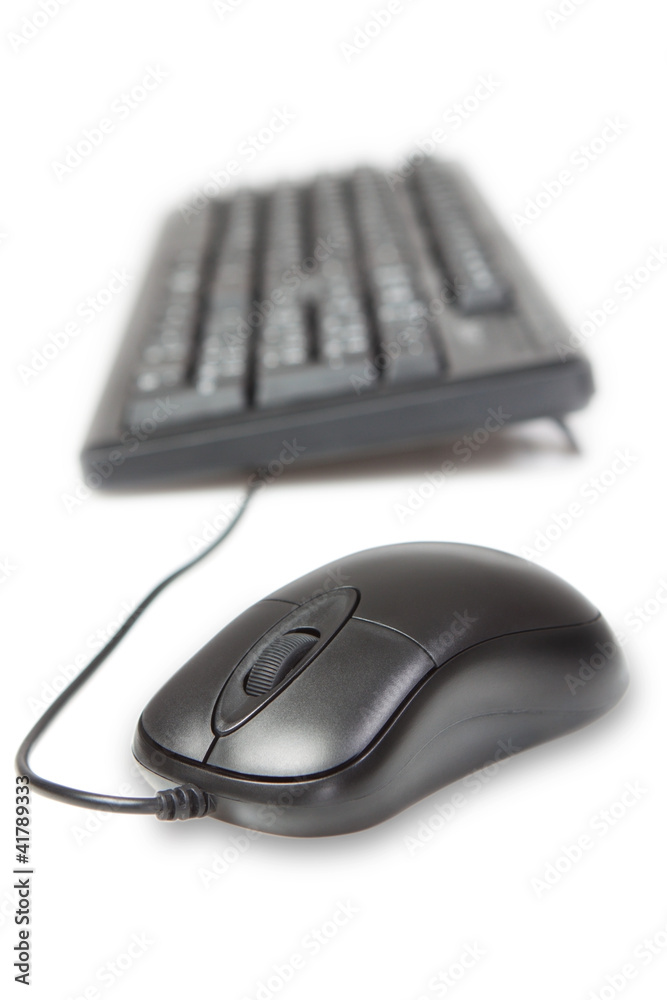 The mouse on the background of the keyboard. Isolated. The mouse on the background of the keyboard. Isolated.