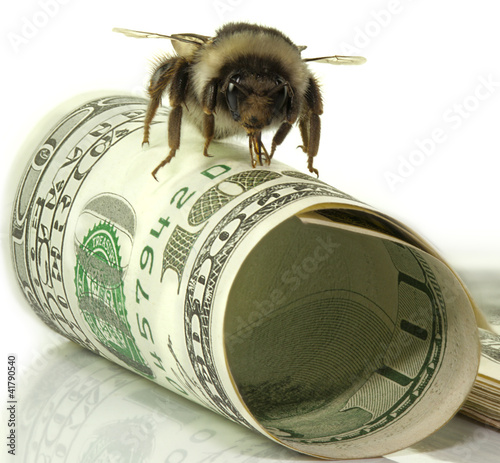 one hundred dollars for business and bumblebee pack bills