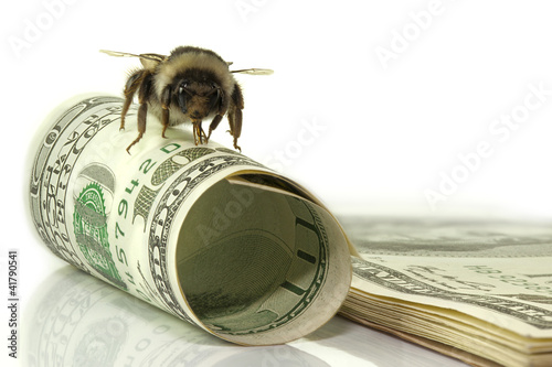 one hundred dollars for business and bumblebee pack bills